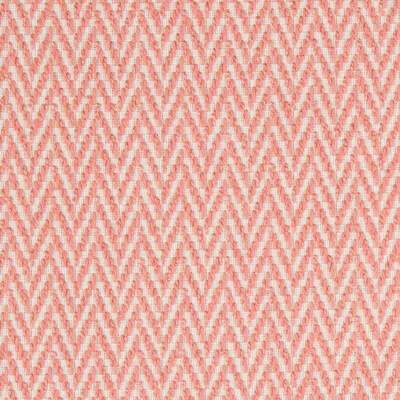 Robert Allen Fabrics Fabrics -NESTING ZIGZAG | CORAL REEF