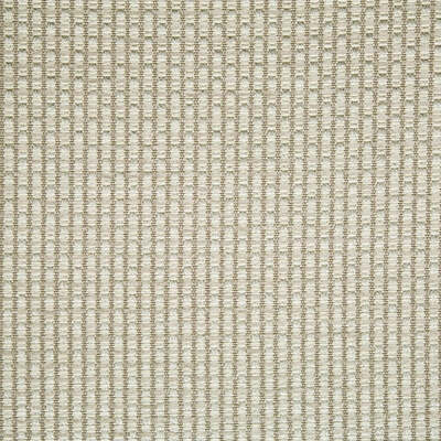 Beacon Hill Fabrics Fabrics -GILDED RAFFIA | PEWTER