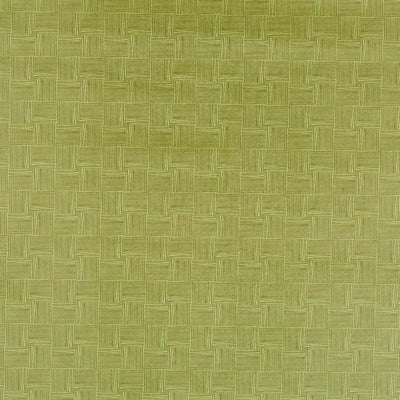 Robert Allen Fabrics Fabrics -THATCHED | LIME