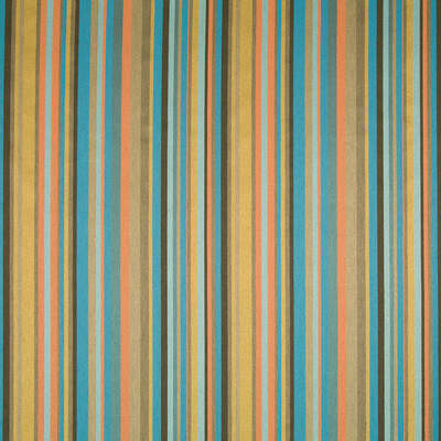 Robert Allen Fabrics Fabrics -RIVERTRAIL | CAPRI