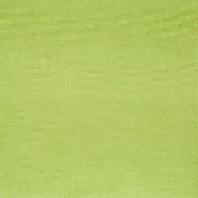 Robert Allen Fabrics Fabrics -SMOOTH GRID | LIME