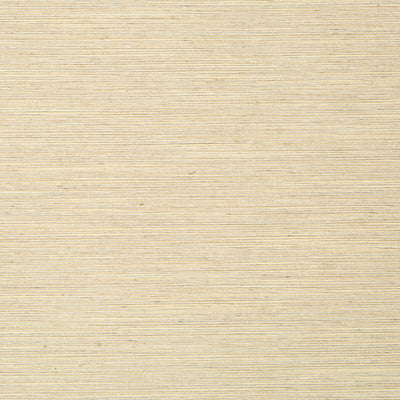 Robert Allen Fabrics Fabrics -GIZMO | SAND