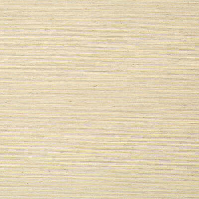 Robert Allen Fabrics Fabrics -GIZMO | SAND