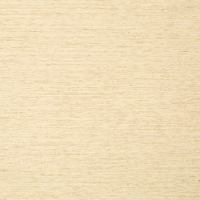 Robert Allen Fabrics Fabrics -GIZMO | CHAMPAGNE