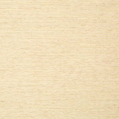Robert Allen Fabrics Fabrics -GIZMO | CHAMPAGNE