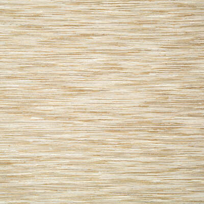 Robert Allen Fabrics Fabrics -SYNDARA | CLOUD