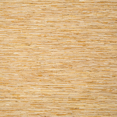 Robert Allen Fabrics Fabrics -SYNDARA | SUNRISE