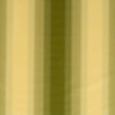 Robert Allen Fabrics Fabrics -GRADIENT | CITRINE
