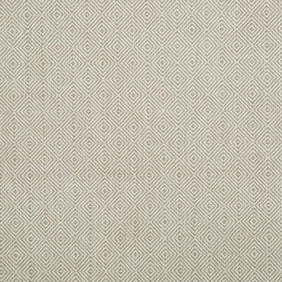 Robert Allen Fabrics Fabrics -INNER GEO | BARK