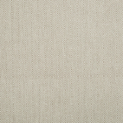 Robert Allen Fabrics Fabrics -INNER GEO | BARK