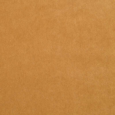 Robert Allen Fabrics Fabrics -PREMIUM LUSH | CARAMEL