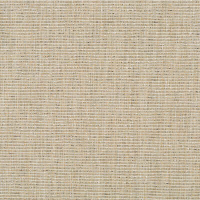 Robert Allen Fabrics Fabrics -EMPIRE CITY | SANDSTONE