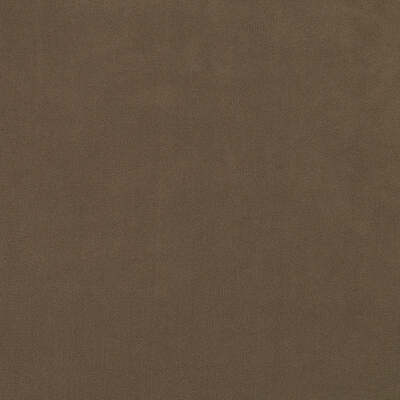 Robert Allen Fabrics Fabrics -FOREVER VELVET | BARK