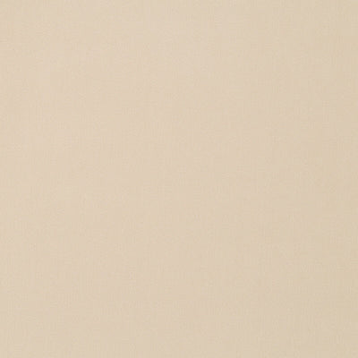Robert Allen Fabrics Fabrics -FOREVER VELVET | PALE CREAM
