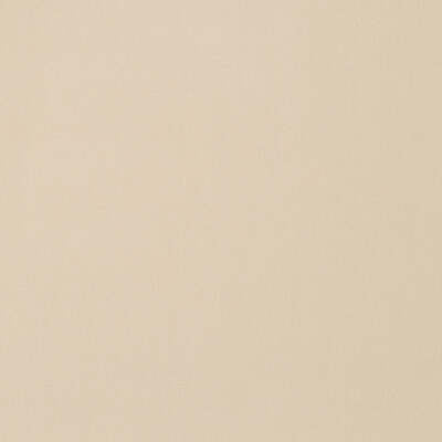 Robert Allen Fabrics Fabrics -FOREVER VELVET | PALE CREAM