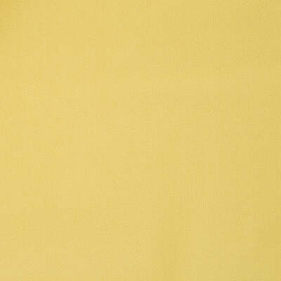Robert Allen Fabrics Fabrics -FOREVER VELVET | SUNRAY