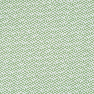 Robert Allen Fabrics Fabrics -GEM PALACE BK | PALM