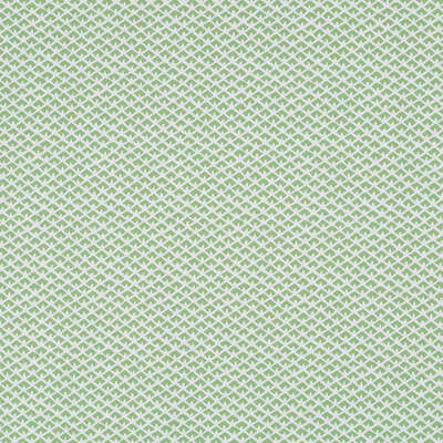 Robert Allen Fabrics Fabrics -GEM PALACE BK | PALM
