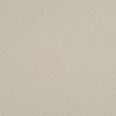 Robert Allen Fabrics Fabrics -Beach Club Bk | Linen