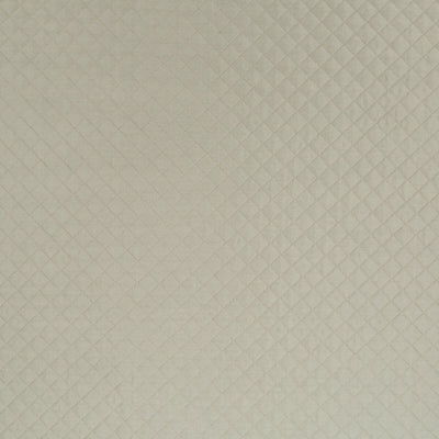 Robert Allen Fabrics Fabrics -ZEBA QUILT | STERLING