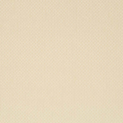 Robert Allen Fabrics Fabrics -MESHWORK | SANDSTONE