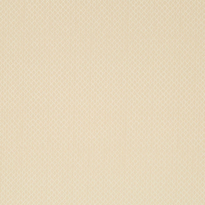 Robert Allen Fabrics Fabrics -MESHWORK | SANDSTONE