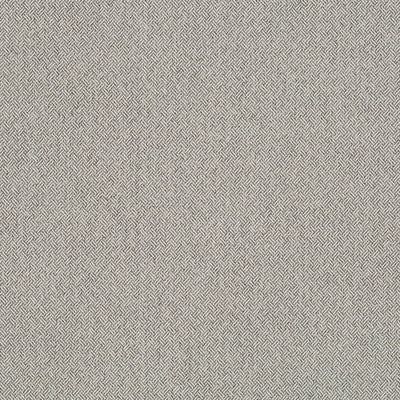 Robert Allen Fabrics Fabrics -TWEEDLEDEE | STONE