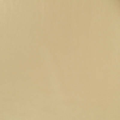Robert Allen Fabrics Fabrics -METALLIC SKIN | STRAW