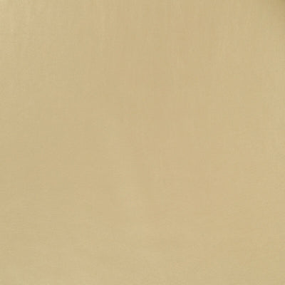 Robert Allen Fabrics Fabrics -METALLIC SKIN | STRAW