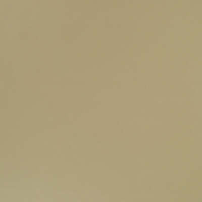 Robert Allen Fabrics Fabrics -METALLIC SKIN | DRIFTWOOD