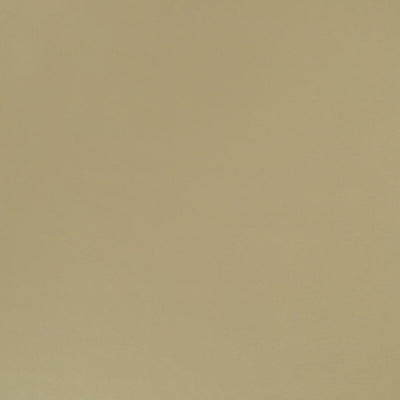 Robert Allen Fabrics Fabrics -METALLIC SKIN | DRIFTWOOD