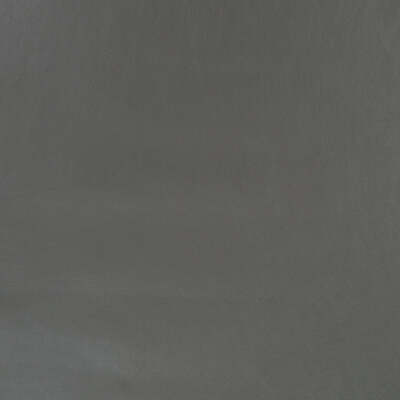 Robert Allen Fabrics Fabrics -METALLIC SKIN | GRAPHITE