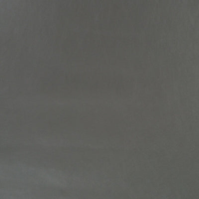 Robert Allen Fabrics Fabrics -METALLIC SKIN | GRAPHITE