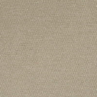 Robert Allen Fabrics Fabrics -MOLDED KEY | SLATE