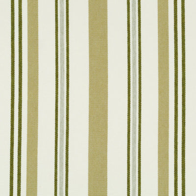 Robert Allen Fabrics Fabrics -WOOD JUNCTION | MOSS