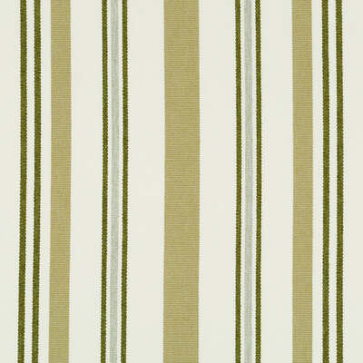 Robert Allen Fabrics Fabrics -WOOD JUNCTION | MOSS