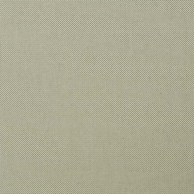 Robert Allen Fabrics Fabrics -MERRY DOT | MOSS