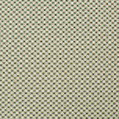 Robert Allen Fabrics Fabrics -MERRY DOT | MOSS