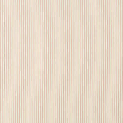 Robert Allen Fabrics Fabrics -VERTICAL STEMS | BLUSH