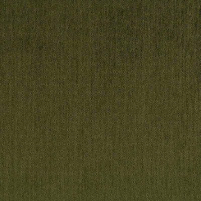 Robert Allen Fabrics Fabrics -JERRY POINT | MOSS