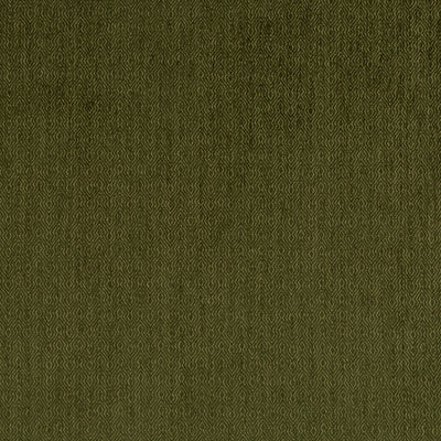 Robert Allen Fabrics Fabrics -JERRY POINT | MOSS