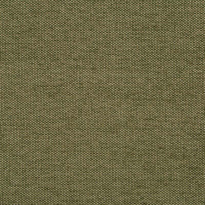 Robert Allen Fabrics Fabrics -GEM CHENILLE | MOSS