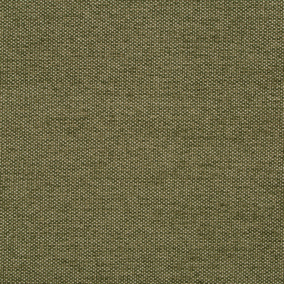 Robert Allen Fabrics Fabrics -GEM CHENILLE | MOSS