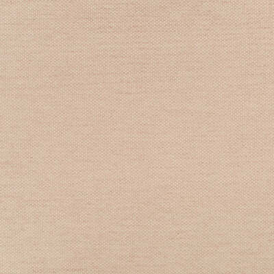 Robert Allen Fabrics Fabrics -GEM CHENILLE | BLUSH