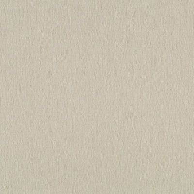 Robert Allen Fabrics Fabrics -LINEN ENDURE | DRIFTWOOD