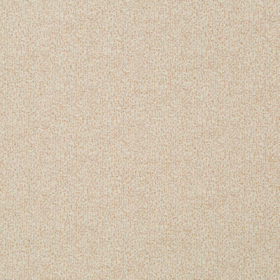 Robert Allen Fabrics Fabrics -GLINTWOOD | BLUSH