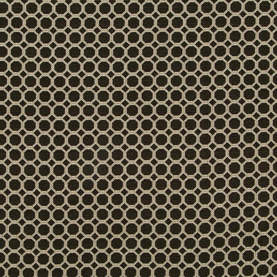 Robert Allen Fabrics Fabrics -THAMANI | ONYX