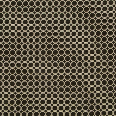 Robert Allen Fabrics Fabrics -THAMANI | ONYX