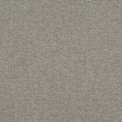 Robert Allen Fabrics Fabrics -SOPHISTIBOUCLE | CHALKBOARD