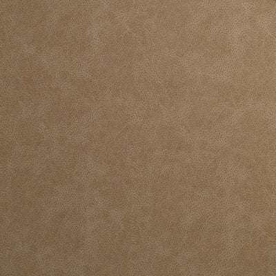 Robert Allen Fabrics Fabrics -T REX | CONCRETE